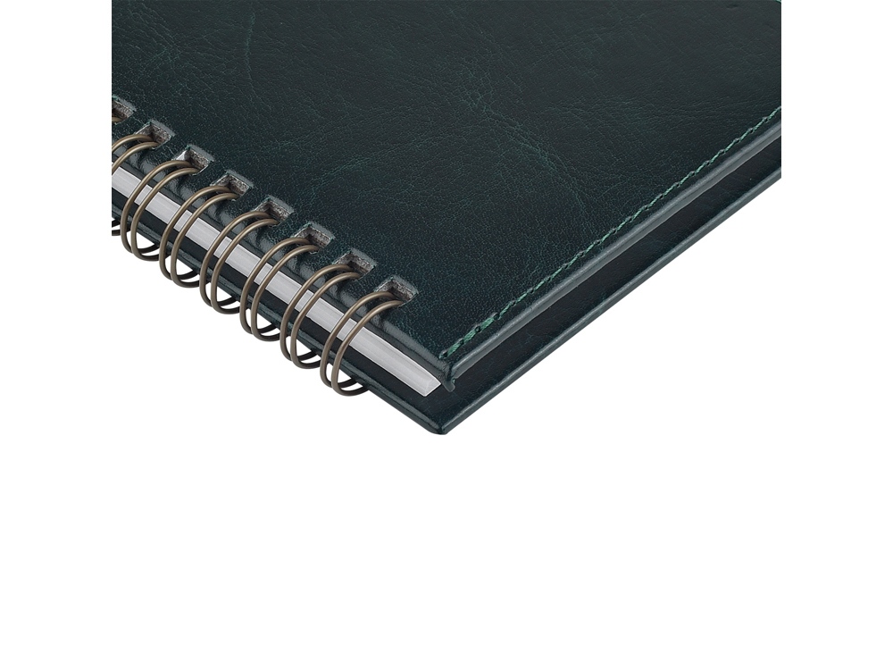 Планинг ГР. датированный Sidney Nebraska 2026, зеленый-4