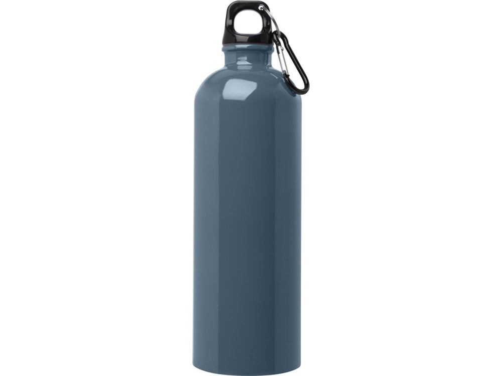 Одностенная бутылка для воды с карабином Oregon, изготовленная из нержавеющей стали, сертифицированной по стандарту RCS, объемом 750 мл - Hale Blue-1