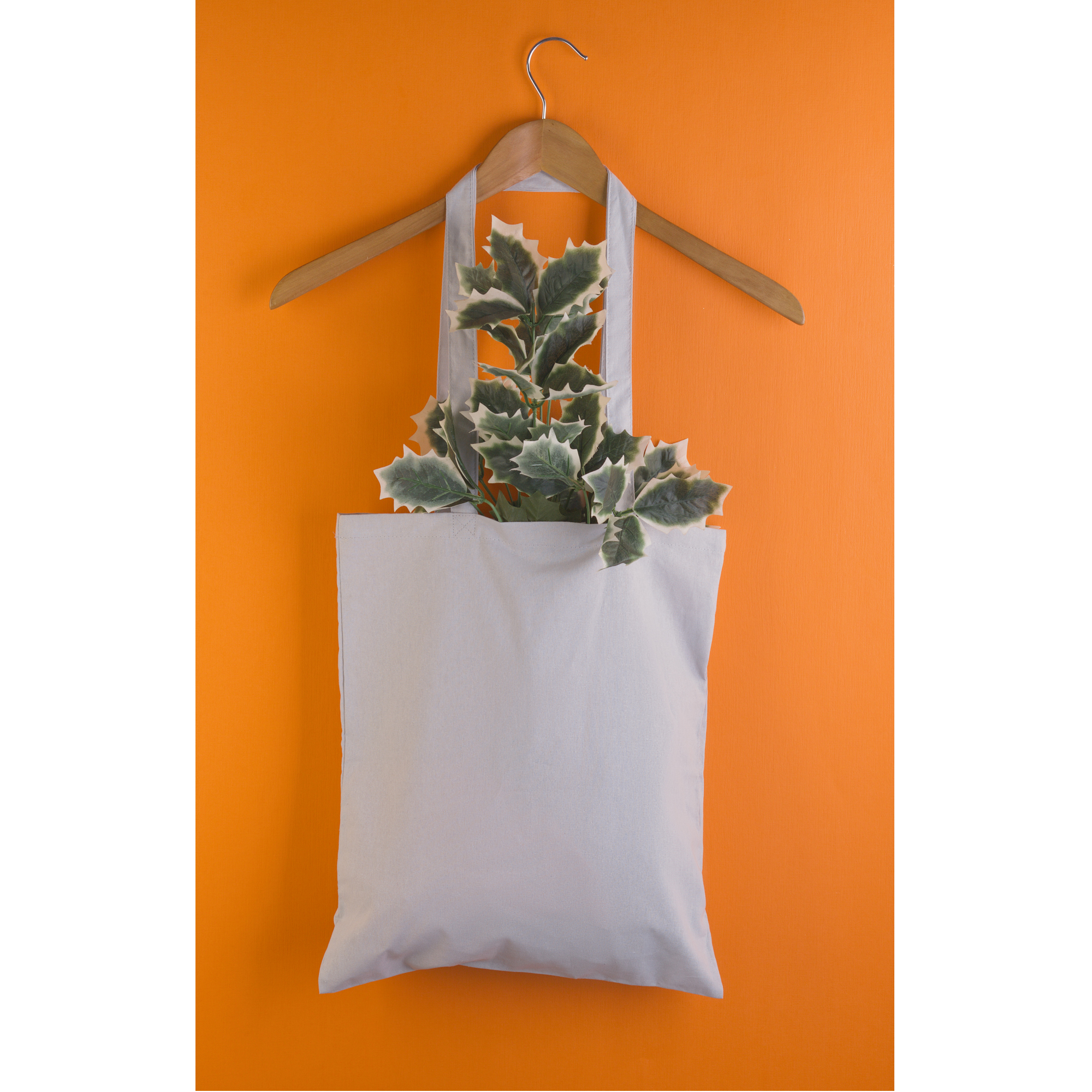 Сумка для покупок "Эко+"-1