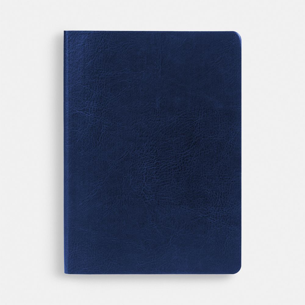 Ежедневник Nebraska Flex, недатированный, синий с золотистым-2