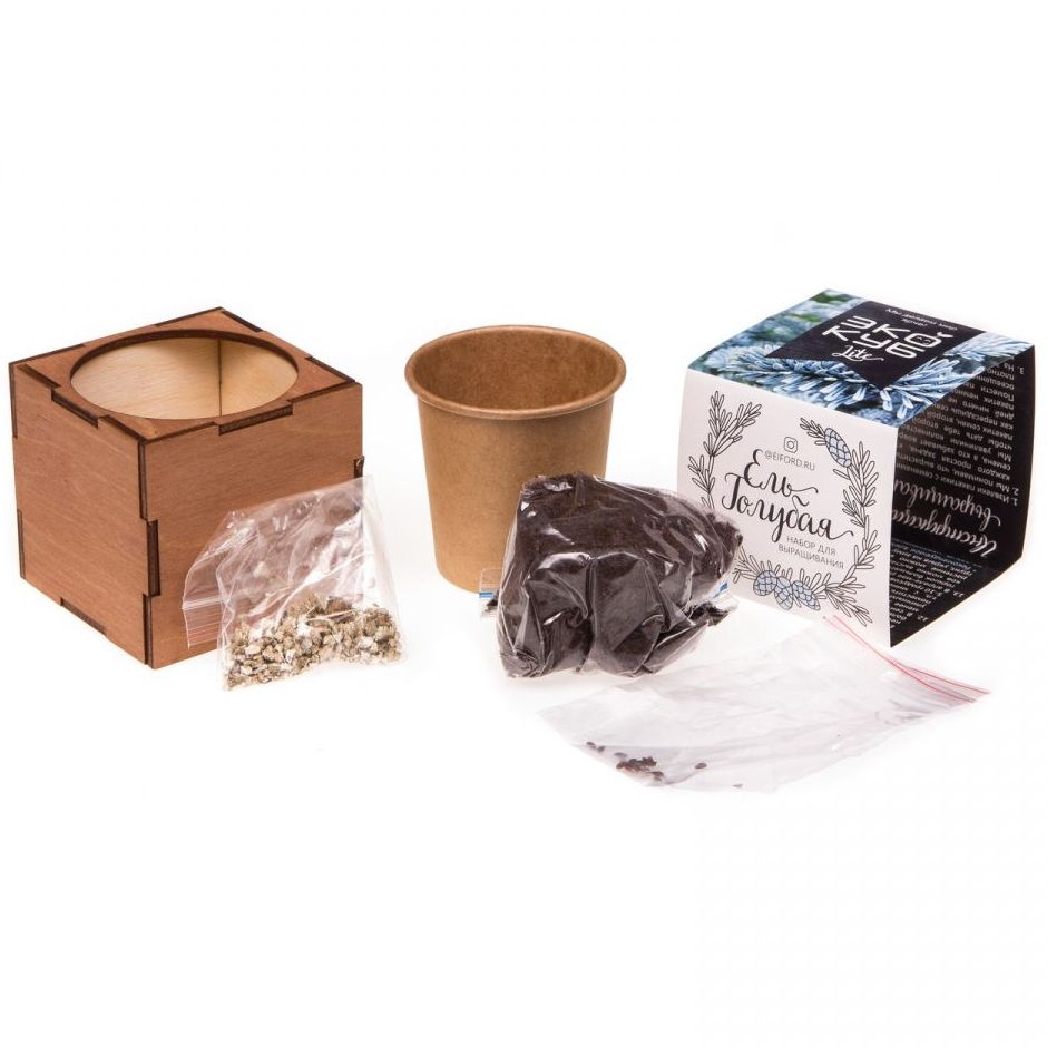 Набор для выращивания «Экокуб Lite», ель голубая-3