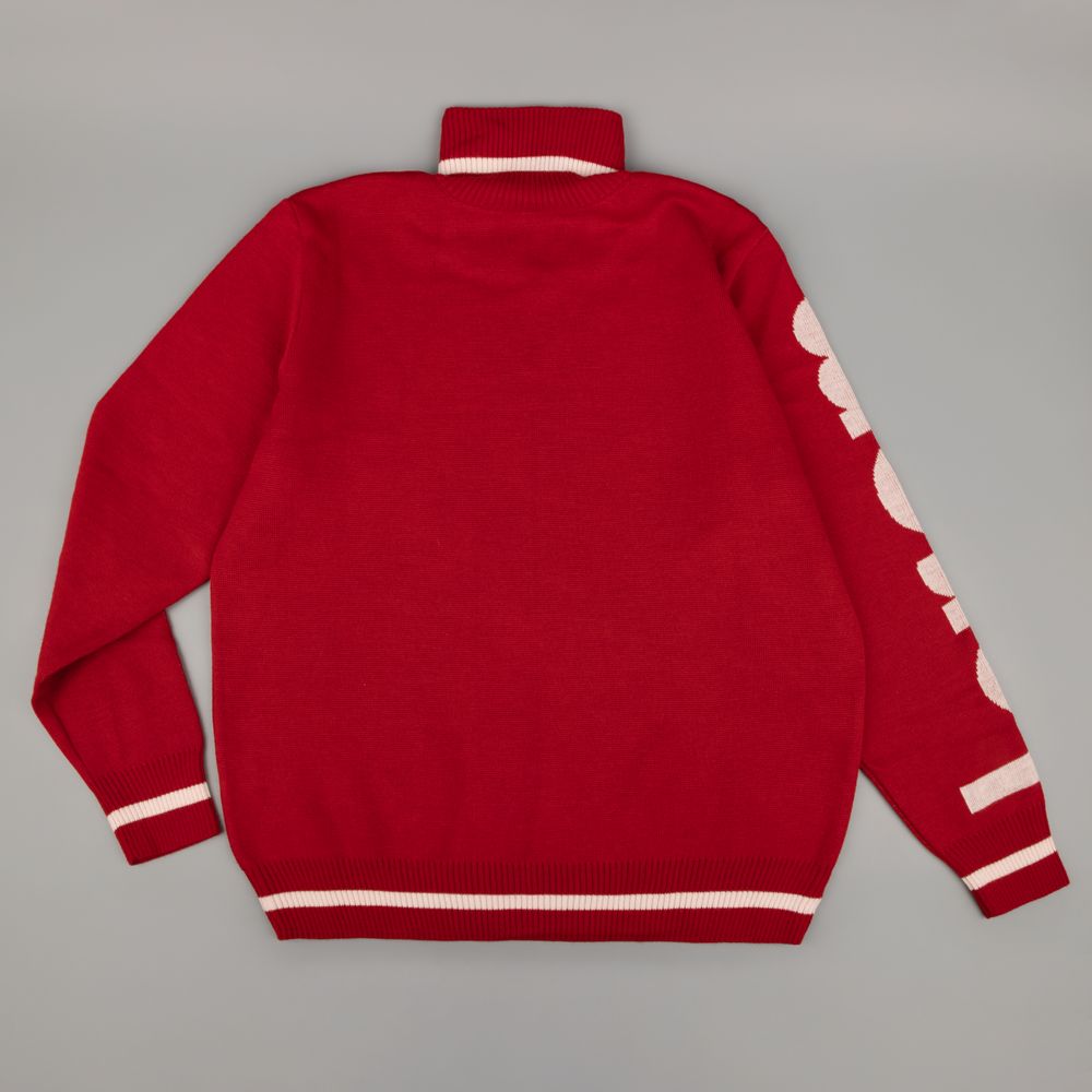 Олимпийка Sport Style на заказ, полушерсть-2