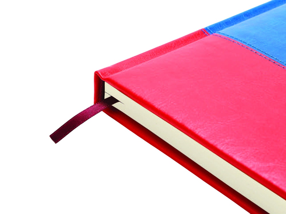 Ежедневник недатированный А5+ Россия. Флаг-2