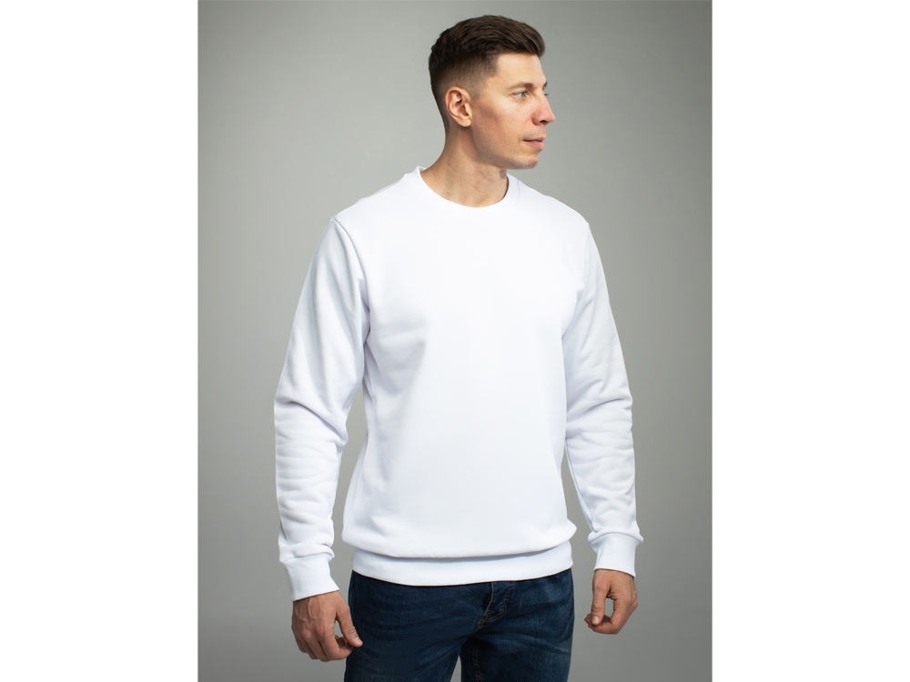 Толстовка втачной рукав. Модель 1 (Футер петлевой) (Размер 46-176, Цвет Белый)-3