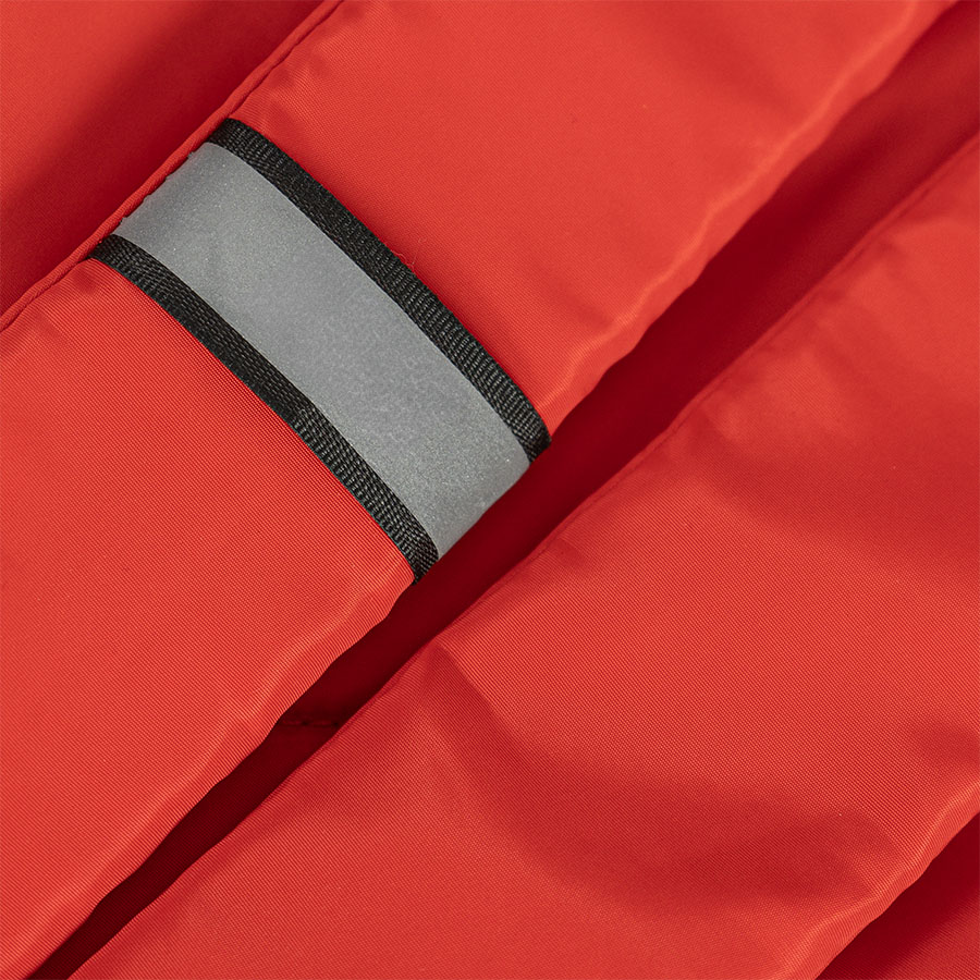 Рюкзак SHINE, красный, 38 х 23 х 12 см, 100% нейлон, красный-2