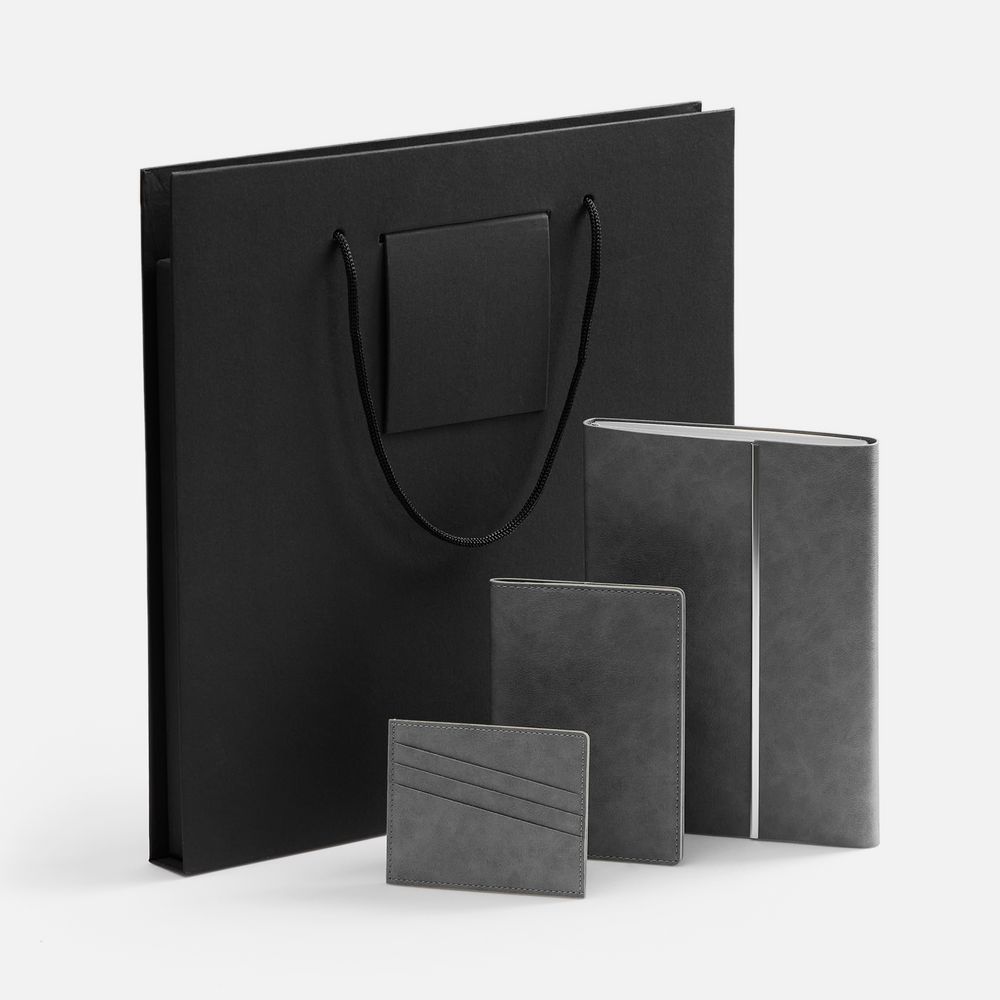 Набор Petrus Flap, серый-1