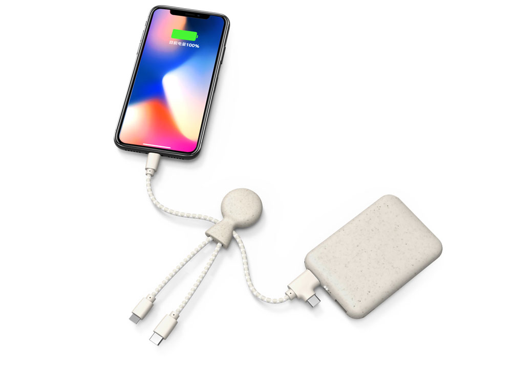 Портативное зарядное устройство BioPack c кабелем Mr. Bio, 5000 mAh, белый-3