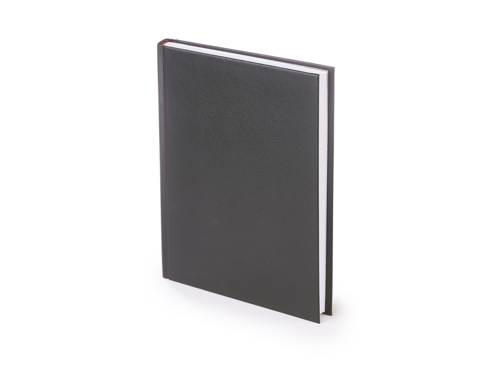 Ежедневник датированный А5 Ideal New 2026, черный-0