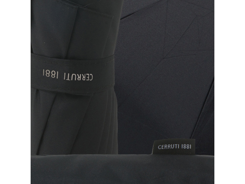 Складной зонт Hamilton Black-5