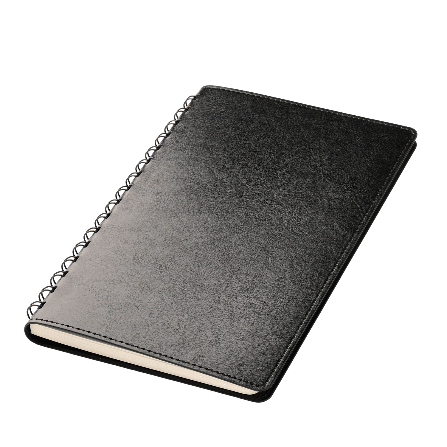 Ежедневник Vista Neo недатированный, черный-1