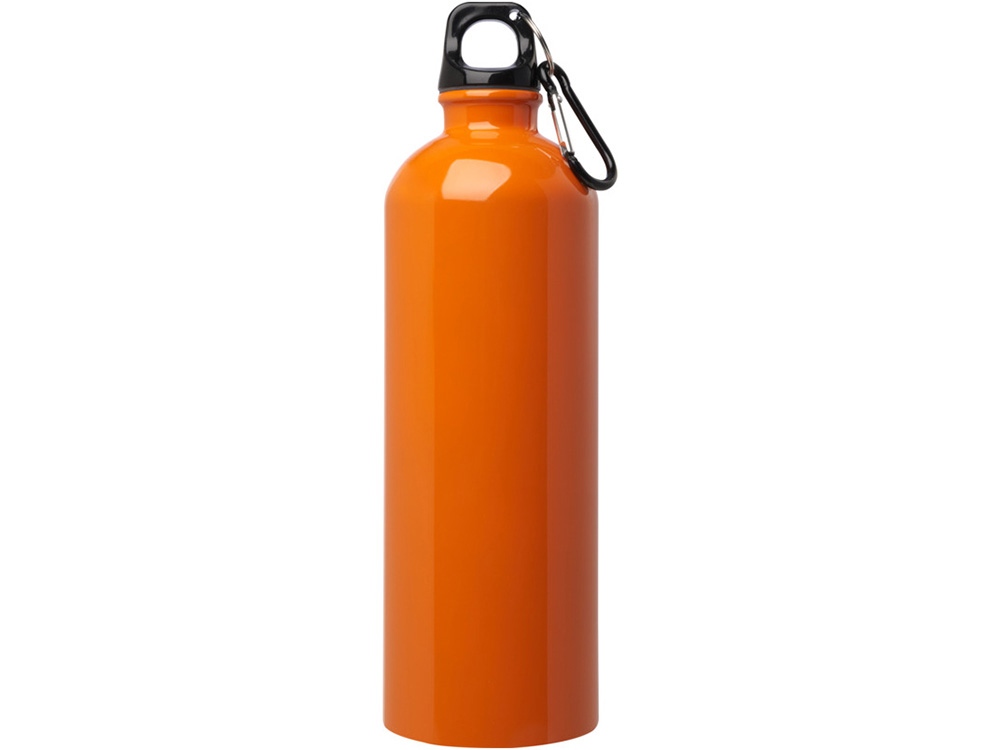 Одностенная бутылка для воды с карабином Oregon, изготовленная из нержавеющей стали, сертифицированной по стандарту RCS, объемом 750 мл - Оранжевый-1
