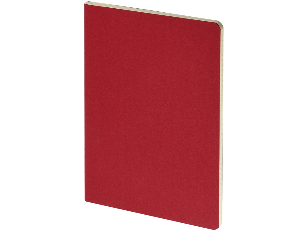 Бизнес тетрадь А5 Pragmatic, 40 листов в клетку, красный-0