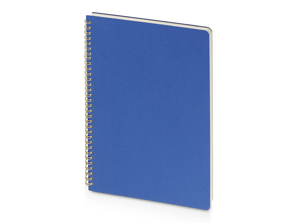 Бизнес тетрадь на гребне А4 Pragmatic, 100 листов в клетку, синий-0