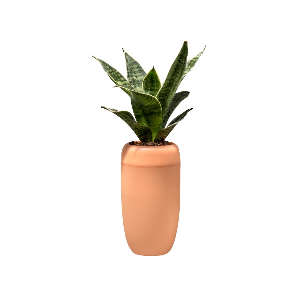 Горшок с крышкой, Оранжевый-0