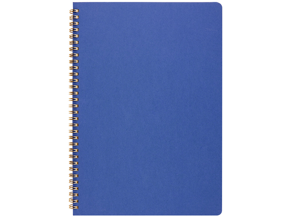 Бизнес тетрадь на гребне А4 Pragmatic, 100 листов в клетку, синий-1