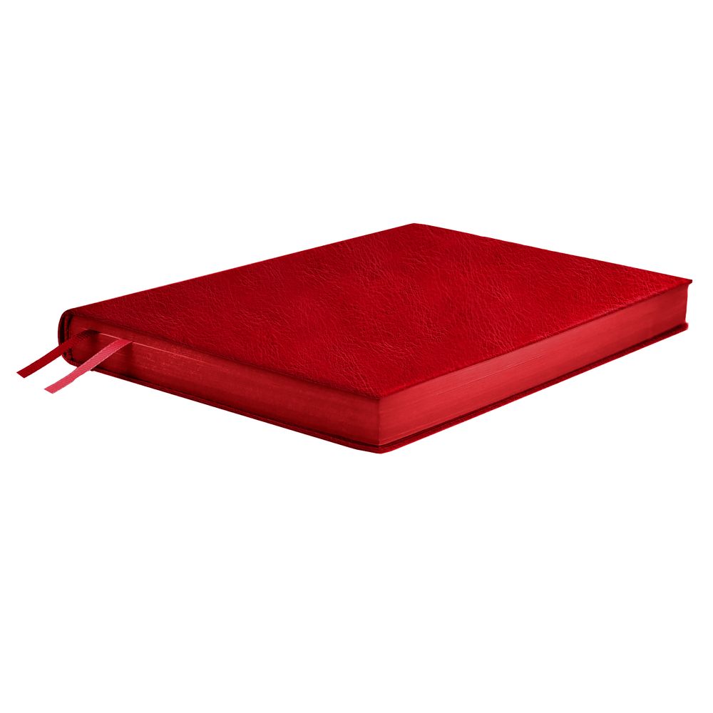 Ежедневник Merida, датированный, красный-1