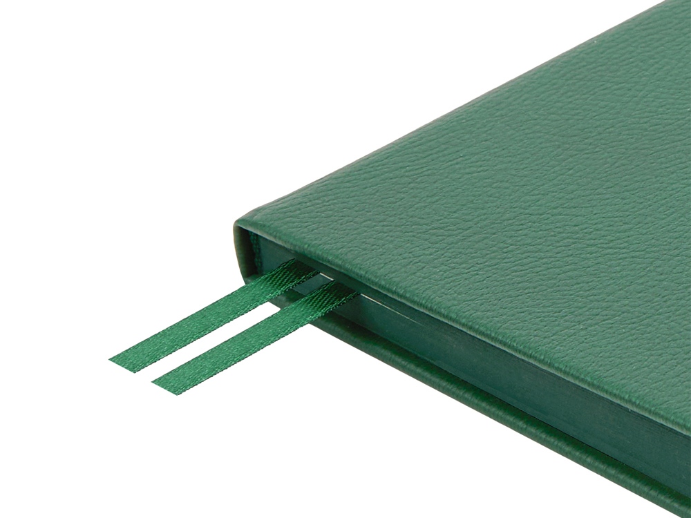 Ежедневник недатированный А5 Megapolis Nappa, зеленый-5