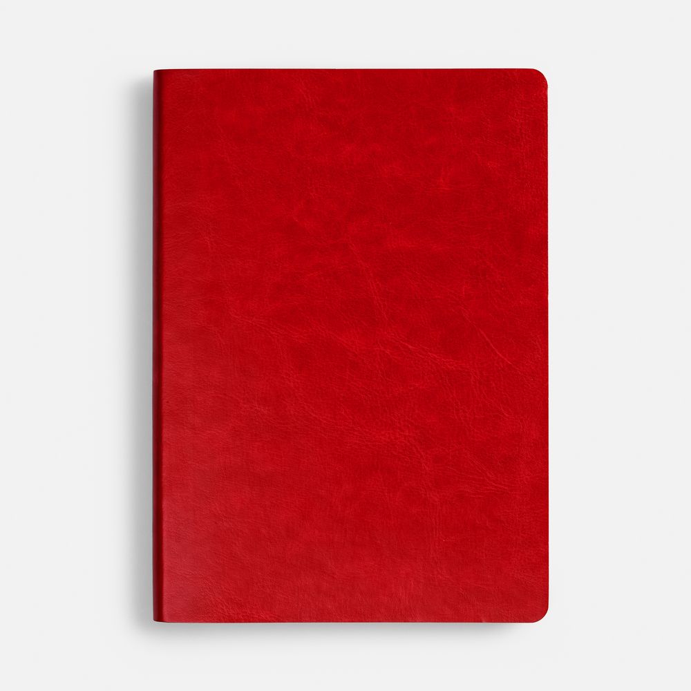 Ежедневник Nebraska Flex, недатированный, красный с золотистым-2