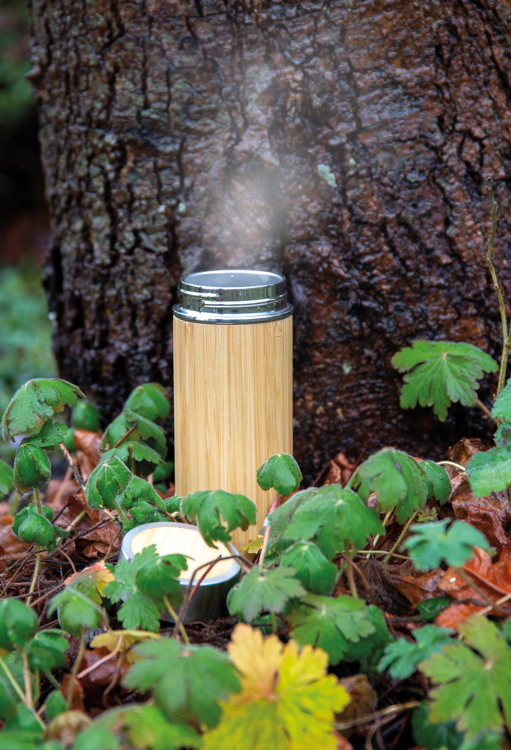 Герметичная вакуумная бутылка Bamboo, 350 мл-4