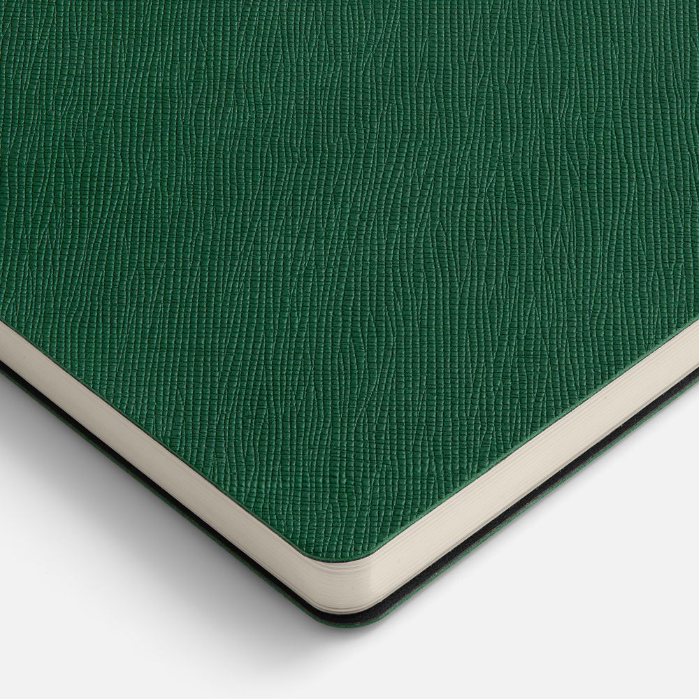 Ежедневник Lungo, недатированный, зеленый-4