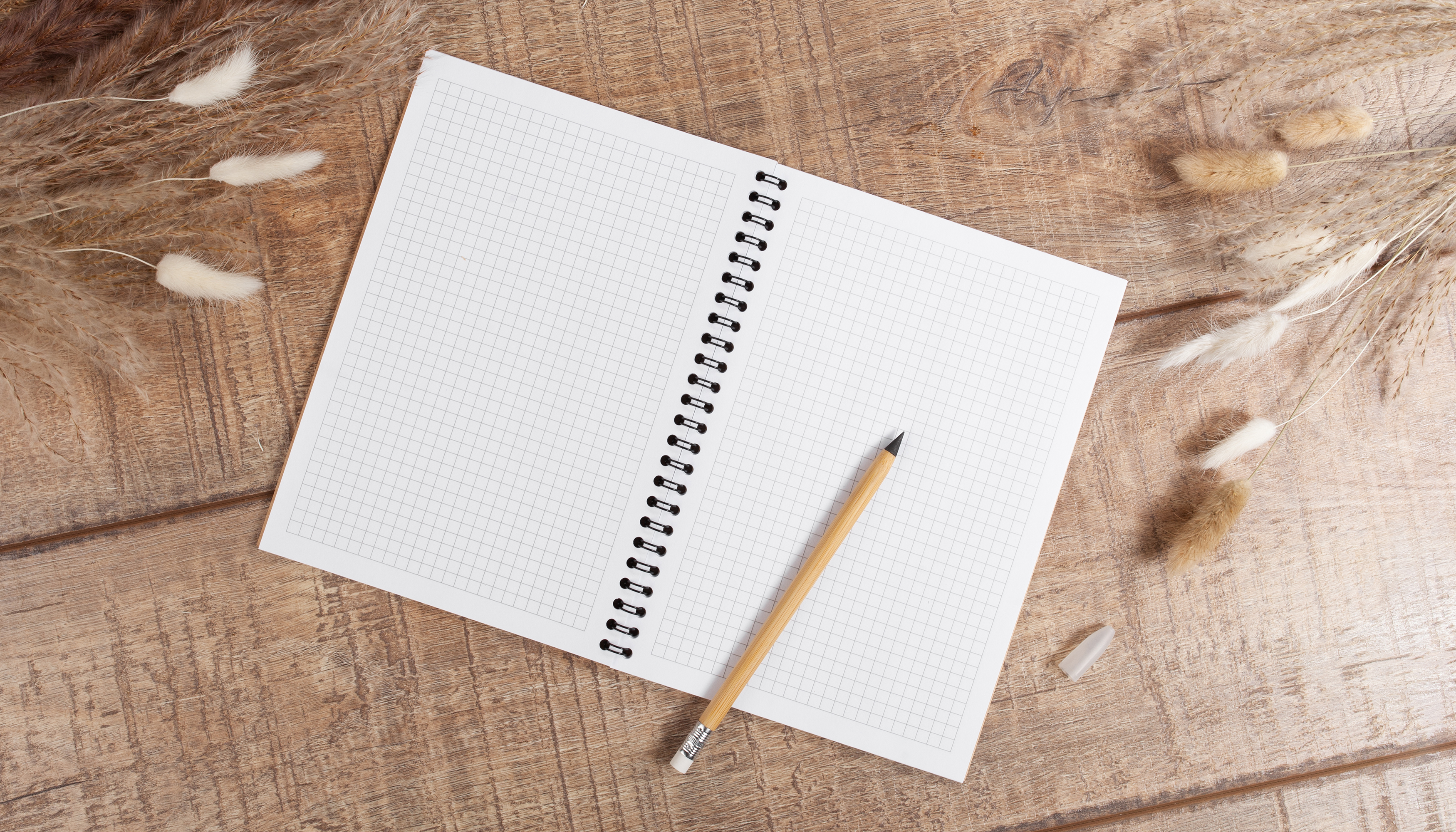 Вечный карандаш "Groot" с ластиком, бамбук-1