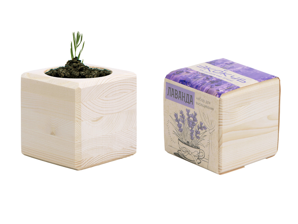 Набор для выращивания Экокуб Classic Лаванда-4