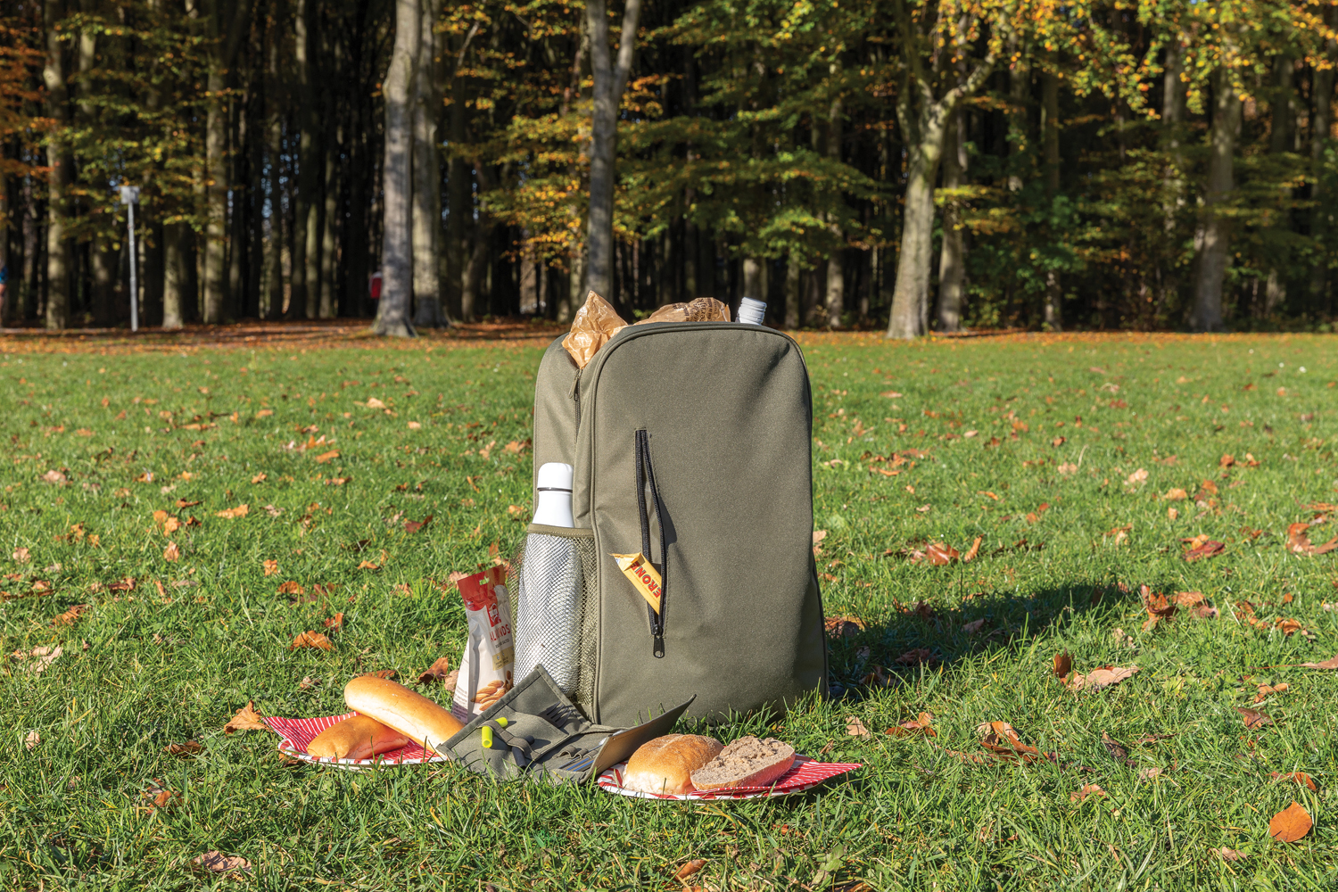 Набор столовых приборов в чехле Tierra-4