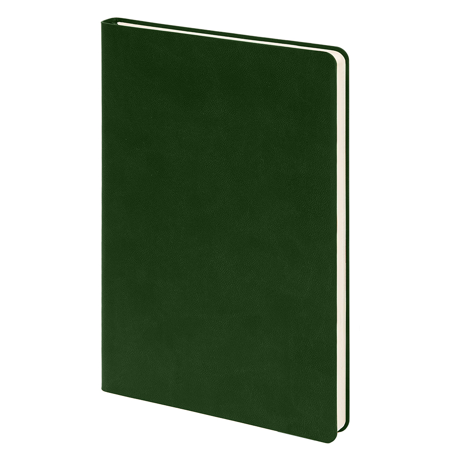 Бизнес-блокнот FUNKY, формат A5, в линейку, зеленый, серый-0