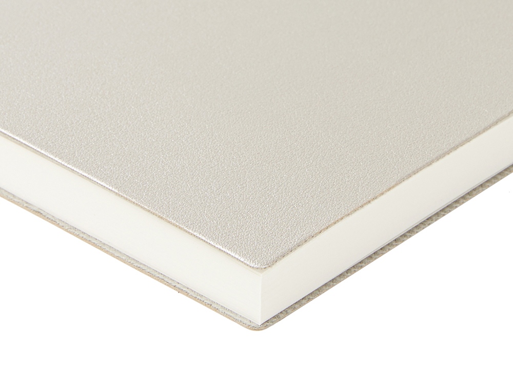 Ежедневник недатированный А5 Grand, серебро-4