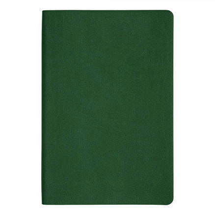 Ежедневник Flexy Soft Touch Latte А5, Зелёный-1