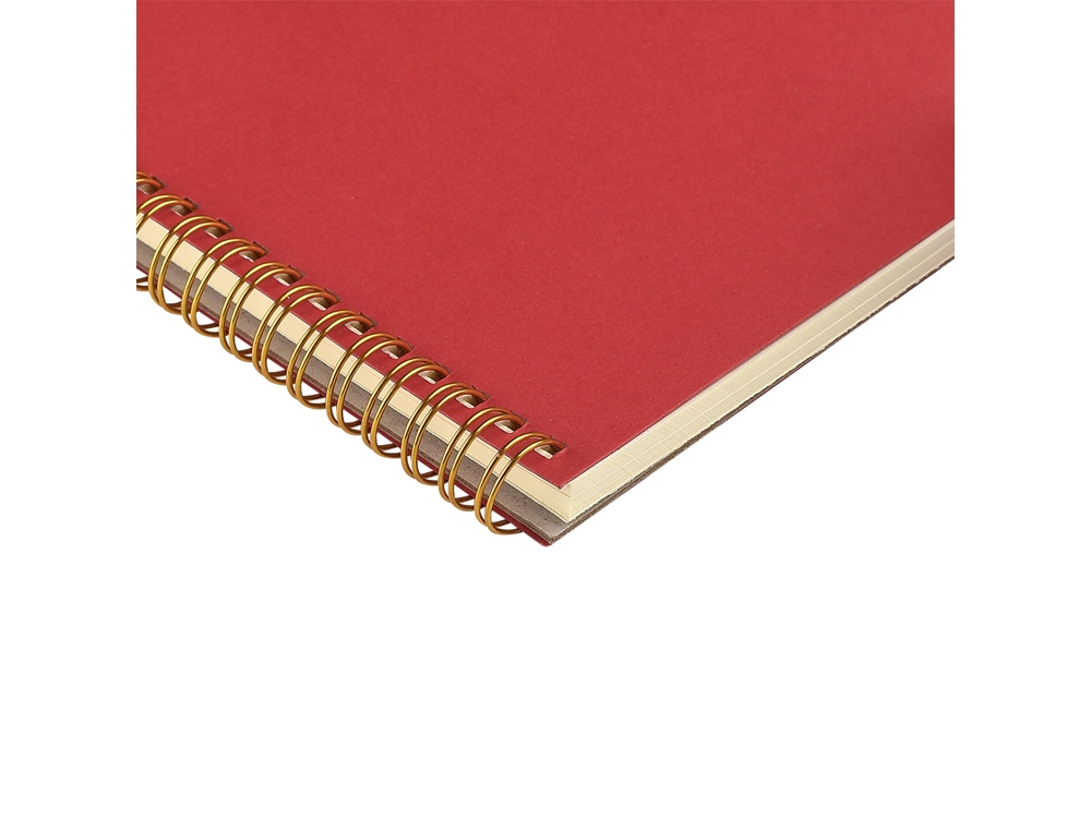 Бизнес тетрадь на гребне А5 Pragmatic, 60 листов в клетку, красный-2