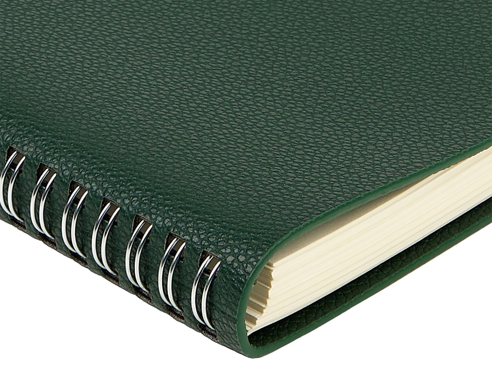 Ежедневник недатированный А5 Alba, зеленый-4