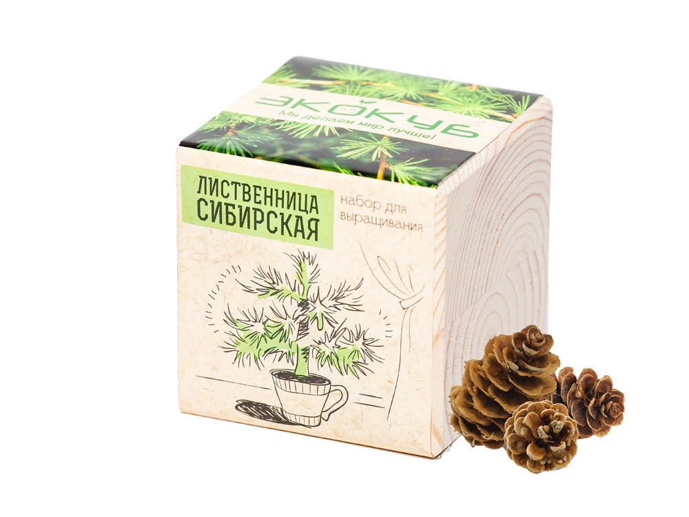 Набор для выращивания Экокуб Classic Лиственница Сибирская-0