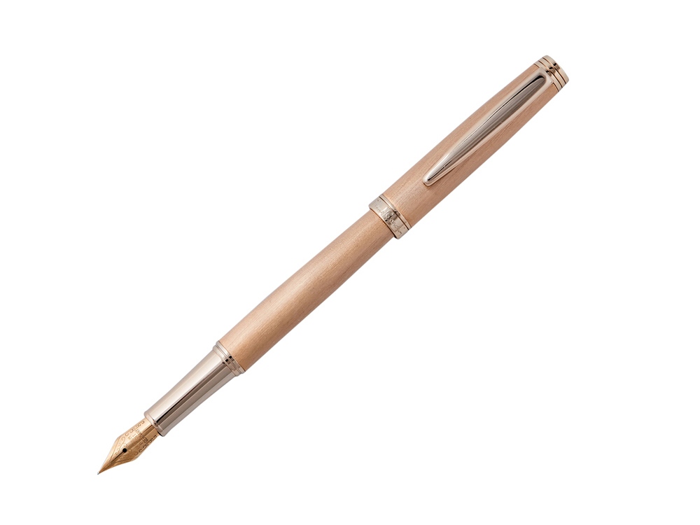 Ручка перьевая Pierre Cardin SHINE. Цвет - золотистый. Упаковка B-1-0