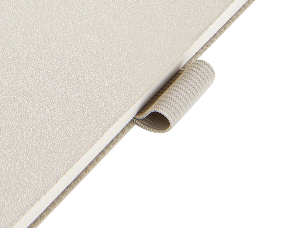 Ежедневник недатированный А5 Grand, серебро-6