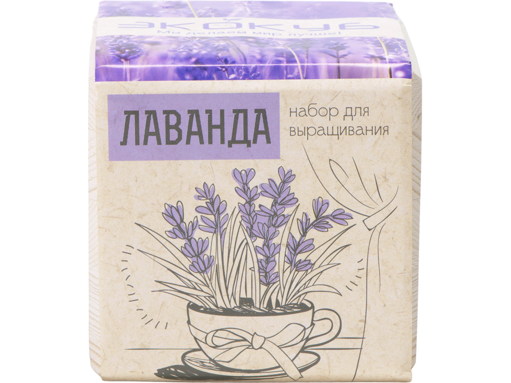Набор для выращивания Экокуб Classic Лаванда-2