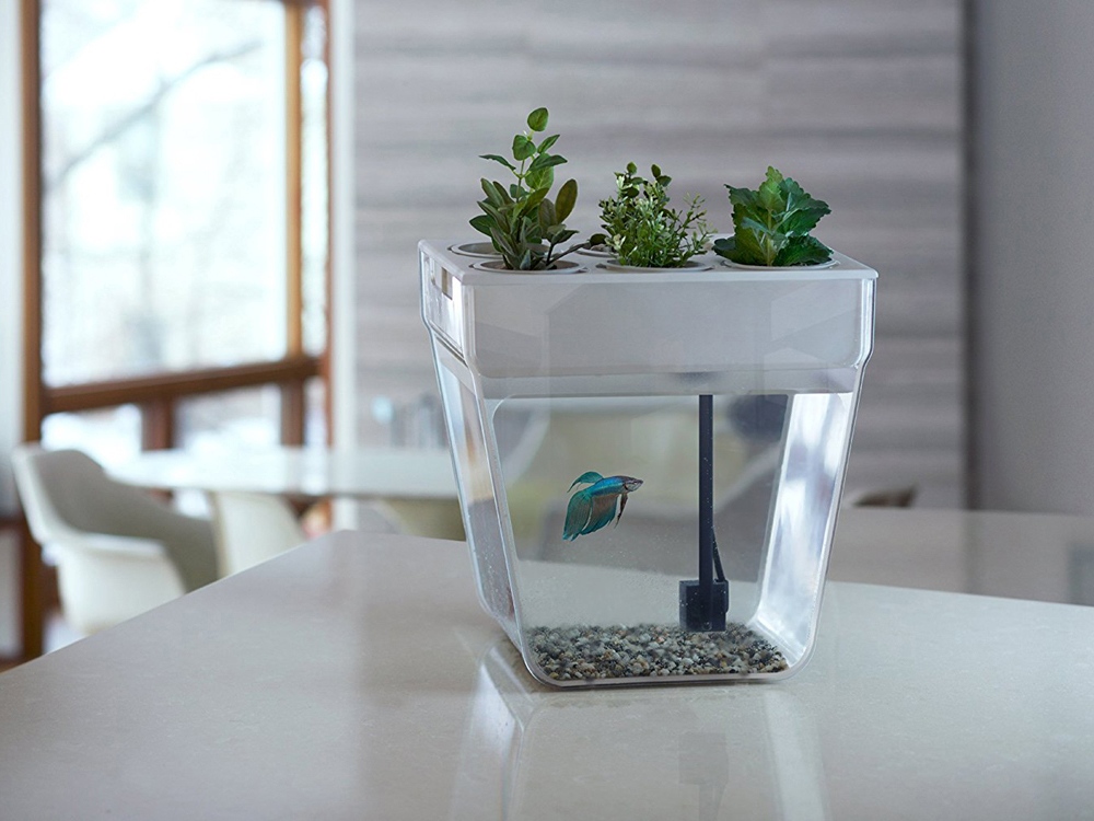 Набор для выращивания растений и ухода за рыбкой Акваферма-4