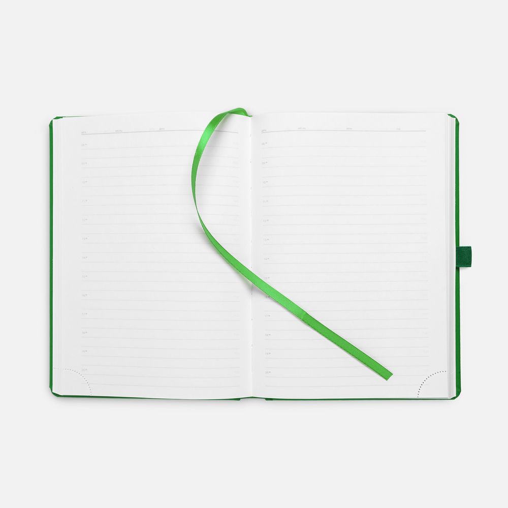 Ежедневник Favor Metal, недатированный, ярко-зеленый-2