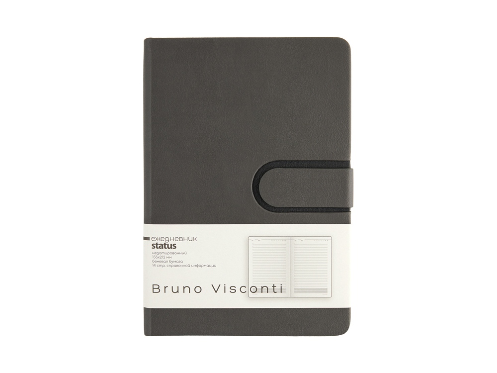 Ежедневник недатированный А5 Status, графитовый серый-1