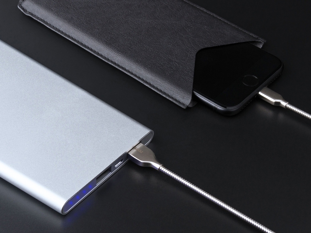 Внешний аккумулятор Rombica NEO AX100L, 10 000 мАч, алюминий, серебристый, чехол-6