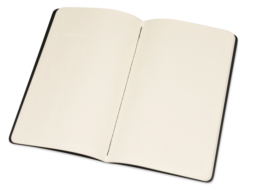 Записная книжка Moleskine Cahier (нелинованный, 1 шт.), Large (13х21см), черный-2