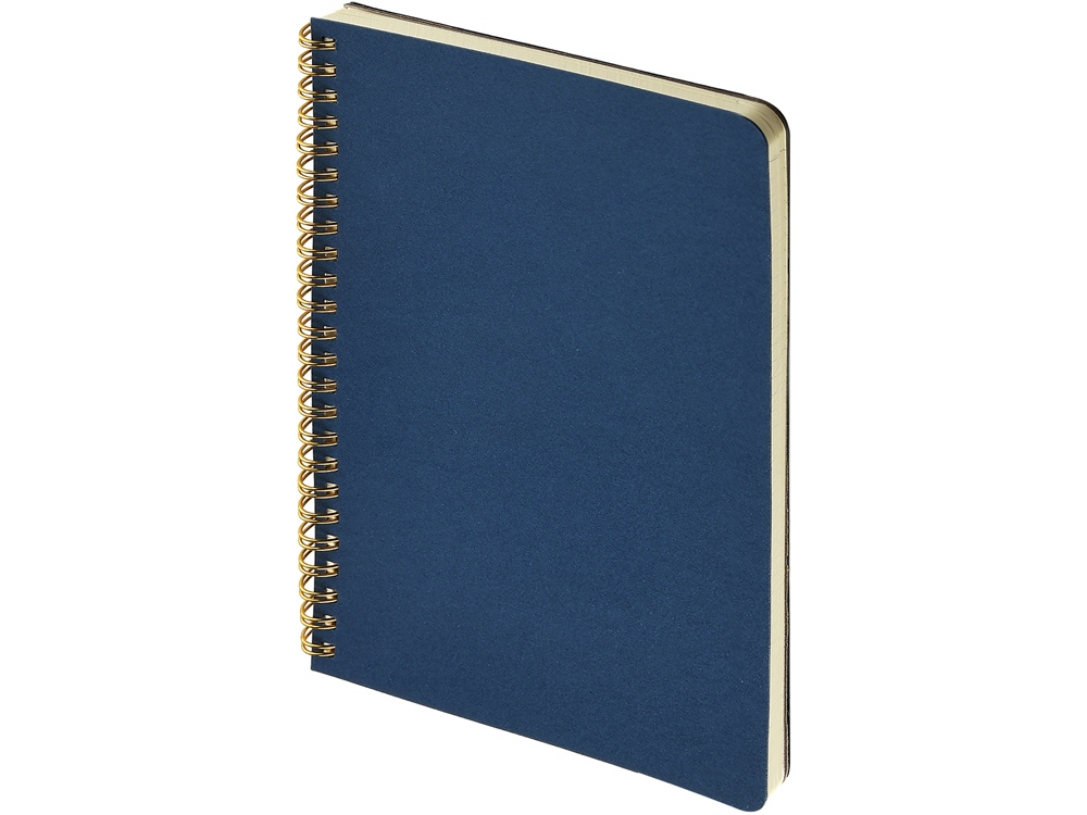 Бизнес тетрадь на гребне А5 Pragmatic, 60 листов в клетку, темно-синий-0