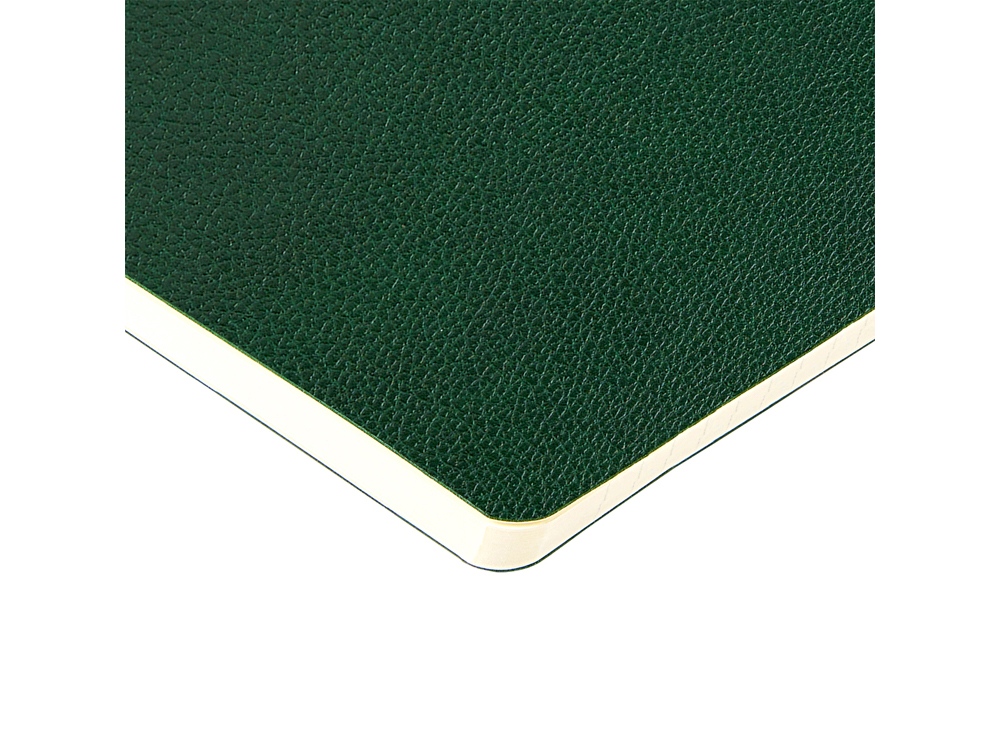 Бизнес-тетрадь А5 Megapolis Loft Flex 60 л., линейка, зеленый-1