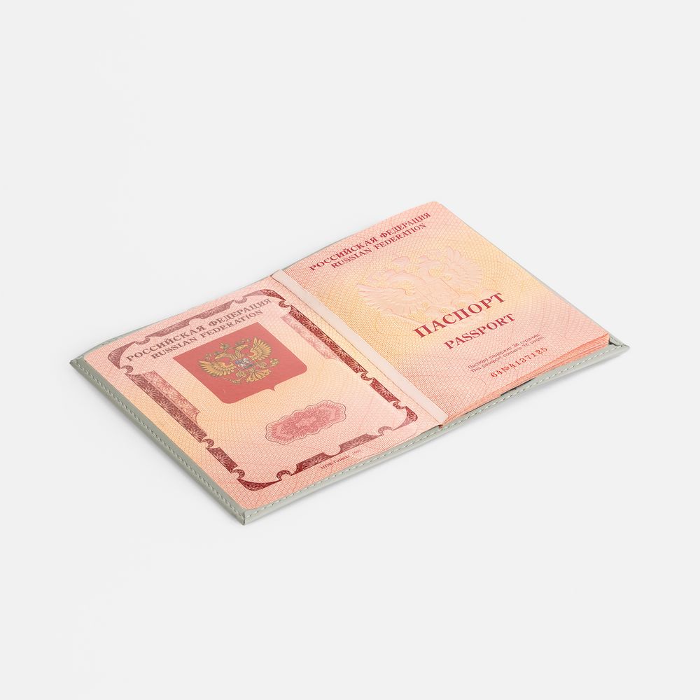 Обложка для паспорта Shall, ver. 2, серая-2
