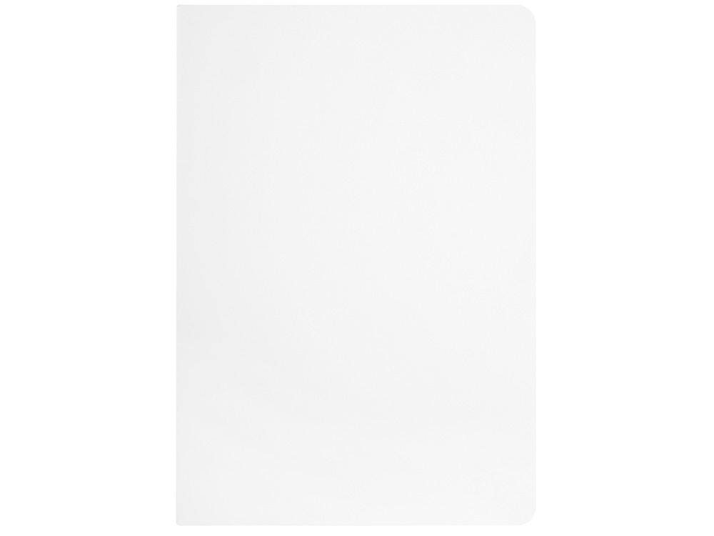 Бизнес-тетрадь А5 Pragmatic Contrast, 40 листов в клетку, белый с салатовым срезом-2