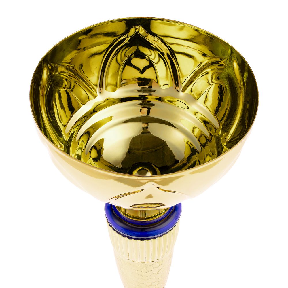Кубок Awardee, средний, синий-3