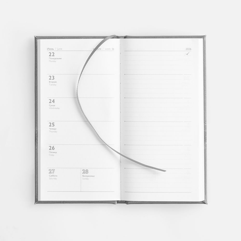 Еженедельник Baza, датированный, серый-7