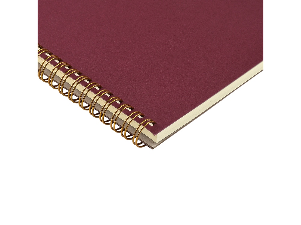 Бизнес тетрадь на гребне А5 Pragmatic, 60 листов в клетку, бордовый-2