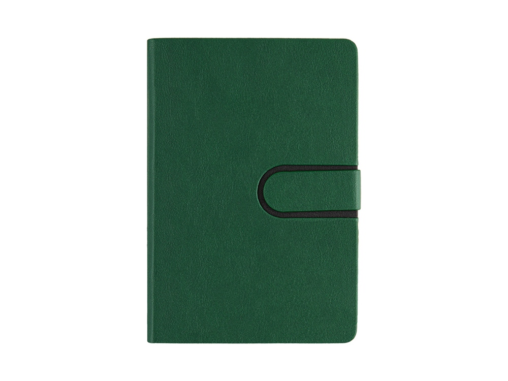 Ежедневник недатированный А5 Status, зеленый-3