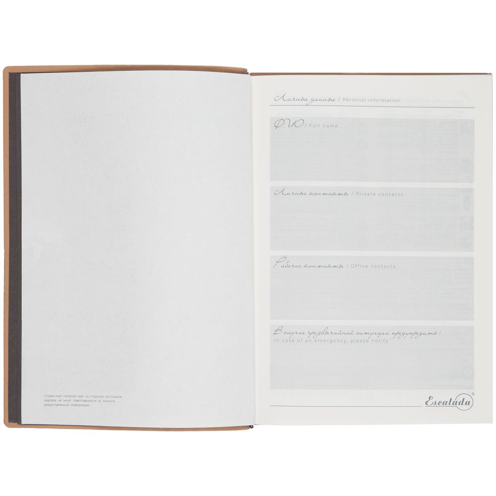 Ежедневник Anaconda, недатированный, серебристый-4